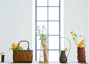 今年装修5种流行色