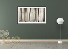 巧妙用色，让你的家轻松高级几倍